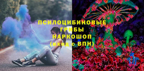 прущие грибы Балахна