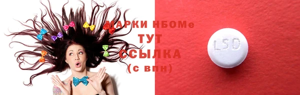 прущие грибы Балахна