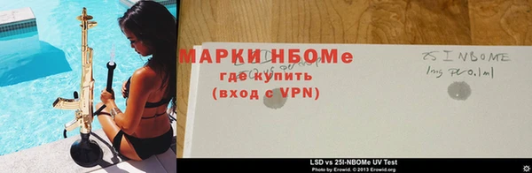 прущие грибы Балахна