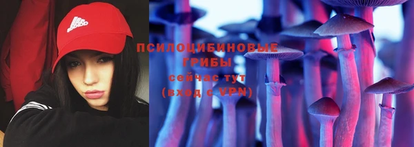 прущие грибы Балахна