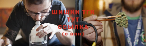 шишки Баксан