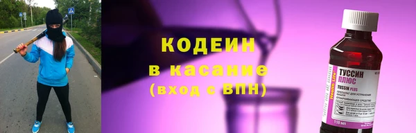 прущие грибы Балахна