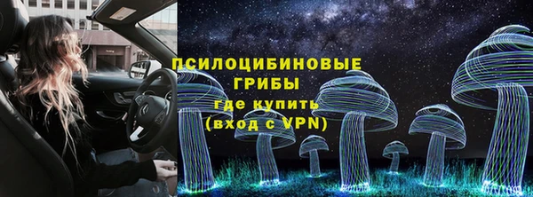 прущие грибы Балахна