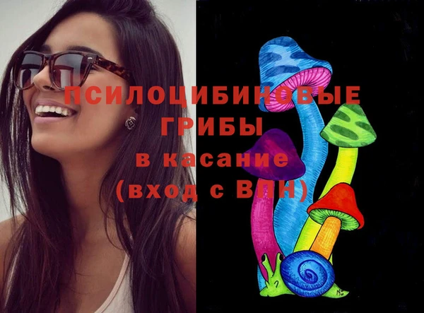прущие грибы Балахна