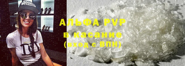 прущие грибы Балахна