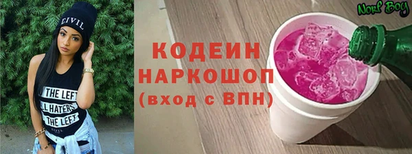 шишки Баксан